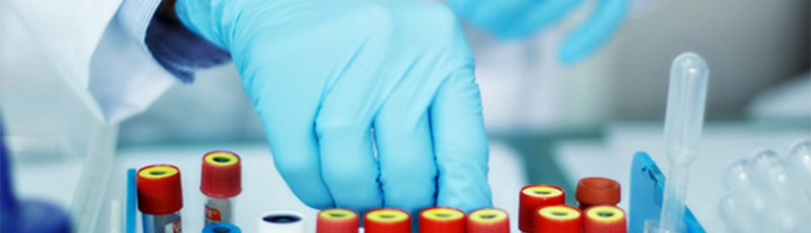 LABORATORIOS CLINICOS ECHANDI